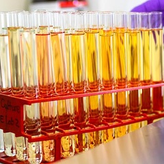 Rack full of test tubes filled with liquid