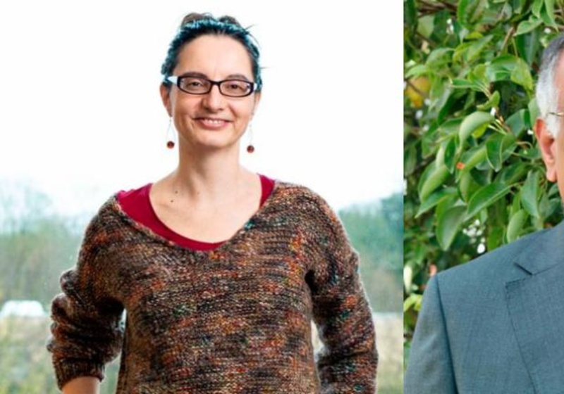 Image of a woman with glasses and earrings and a man with a moustache, shirt and jacket